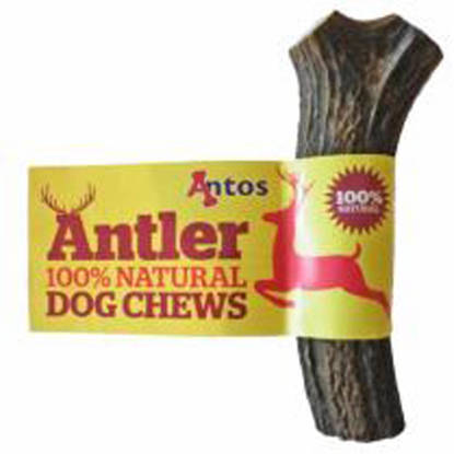 Picture of Antos Antler Dog Chew - Large (approx. 151g - 220g).