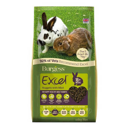 Picture of EXCEL RABBIT
